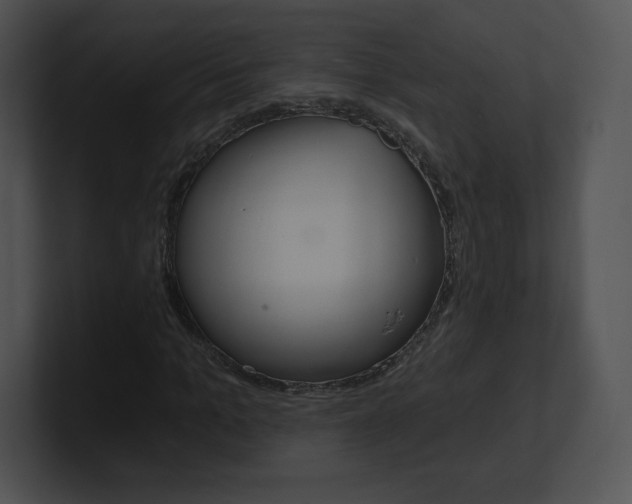 X0000100960965200806241140