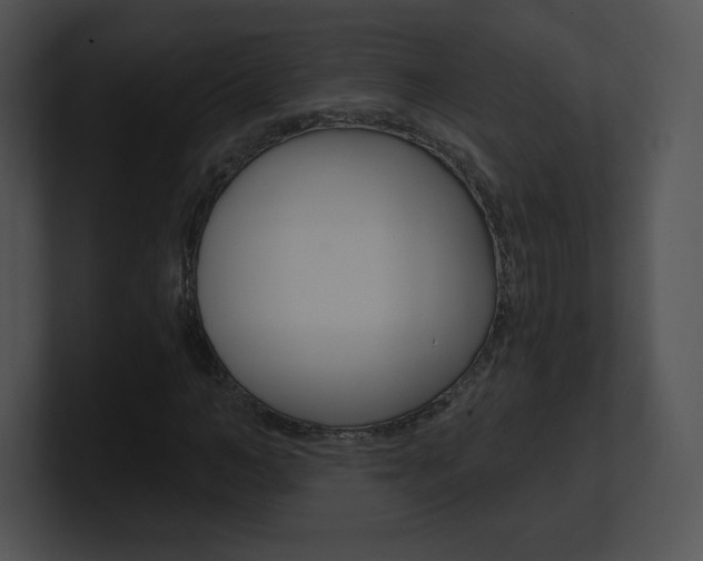 X0000100960966200806241140