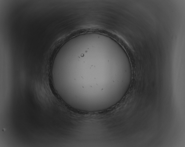 X0000100960967200806241140