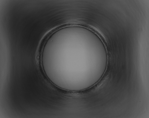 X0000100960971200806241140
