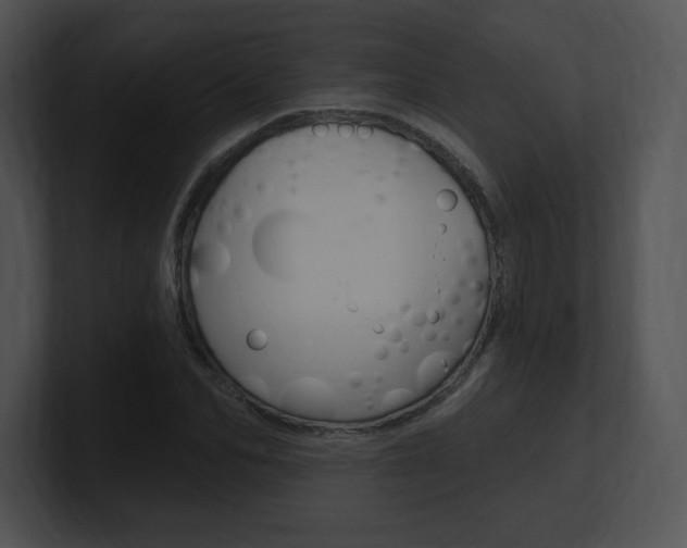 X0000100960974200806241140