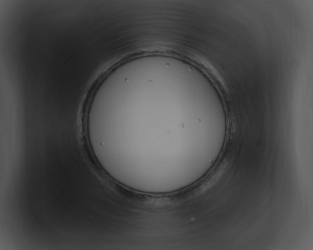 X0000100960978200806241140