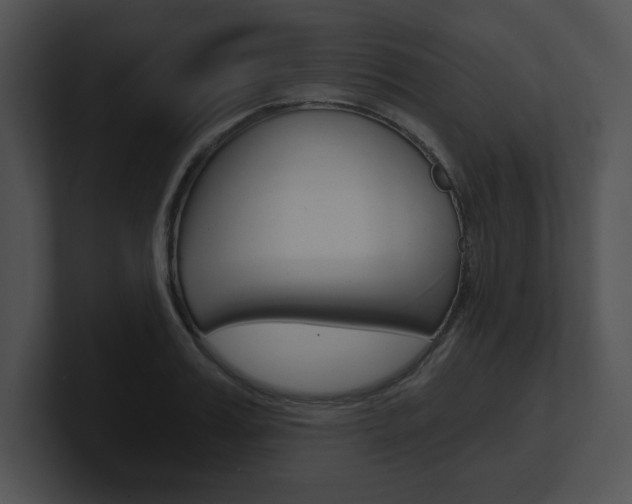 X0000100960987200806241140