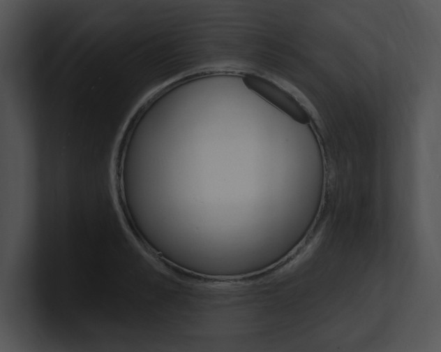 X0000100960989200806241139