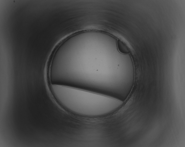 X0000100960991200806241139