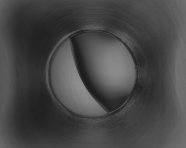 X0000100960992200806241139