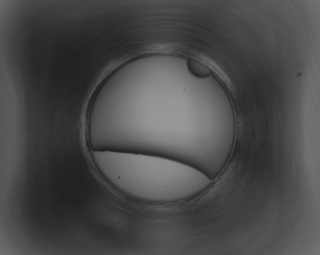 X0000100960994200806241139