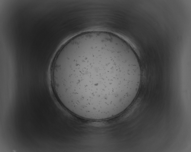 X0000100960998200806241139