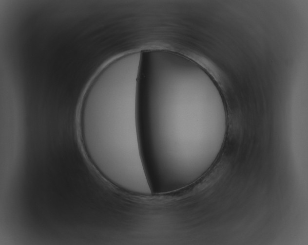 X0000100961000200806241139