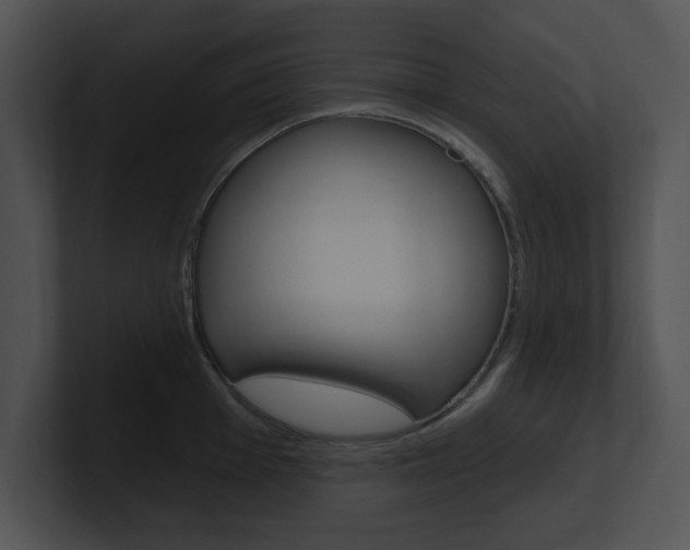 X0000100961001200806241139