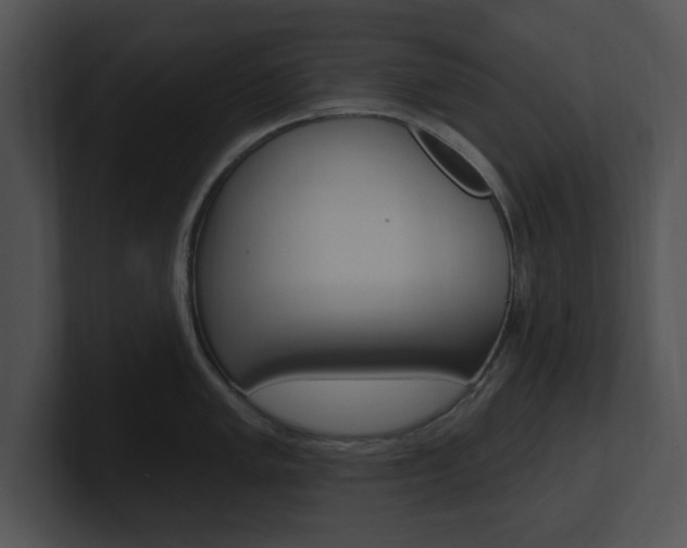X0000100961005200806241139