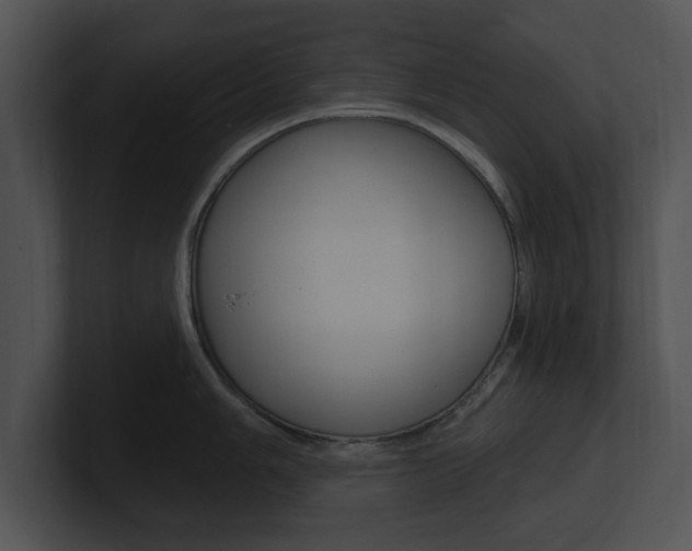 X0000100961006200806241139
