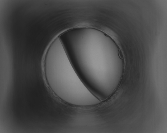 X0000100961008200806241139