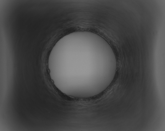 X0000100961009200806241139