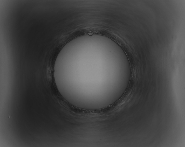 X0000100961010200806241139