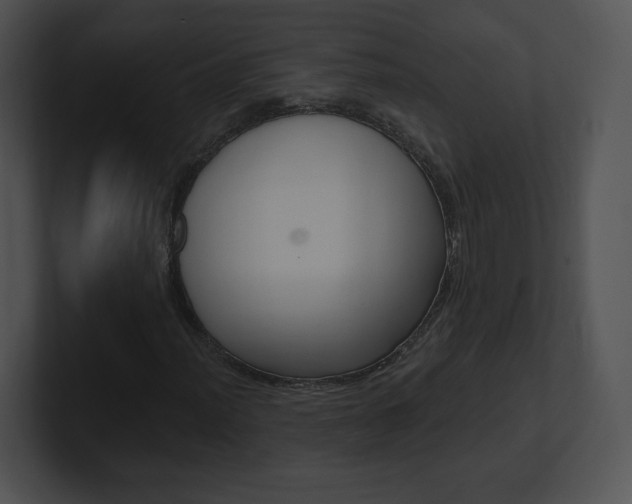 X0000100961012200806241139