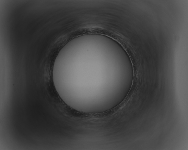 X0000100961014200806241139