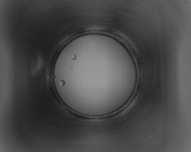 X0000100961017200806241139