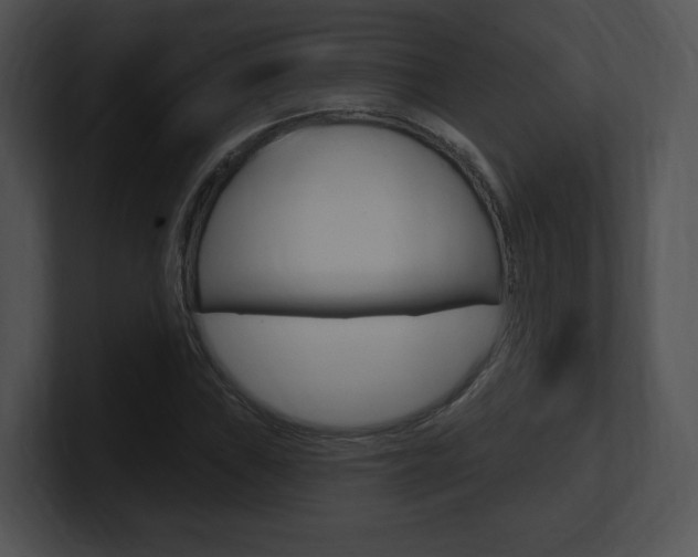 X0000100961019200806241139