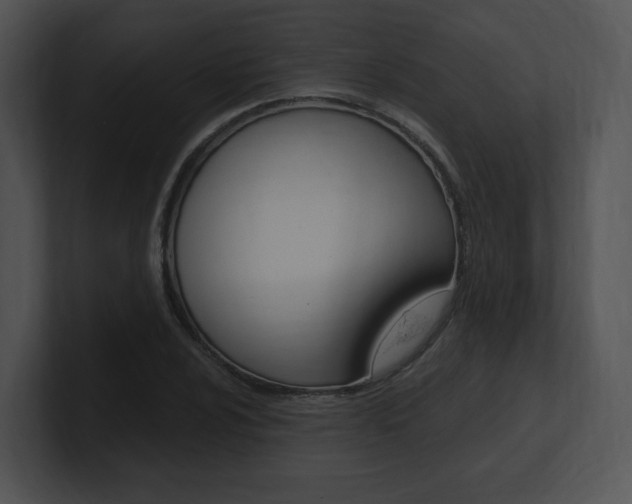 X0000100961024200806241139