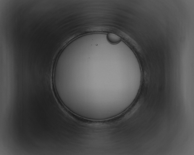 X0000100961033200806241139