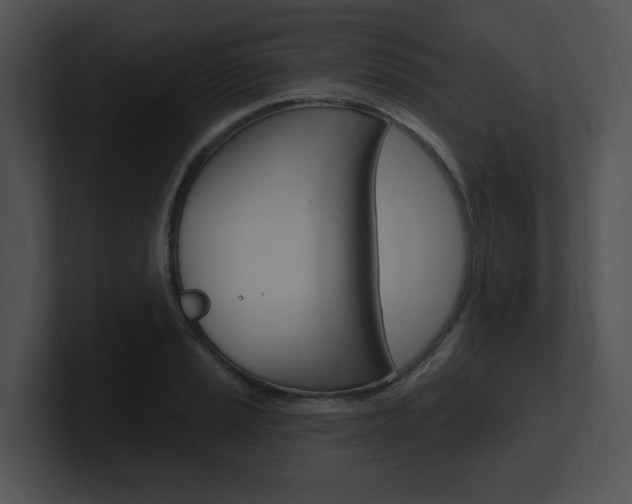 X0000100961037200806241139