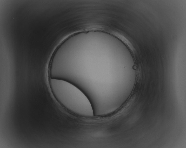 X0000100961047200806241139