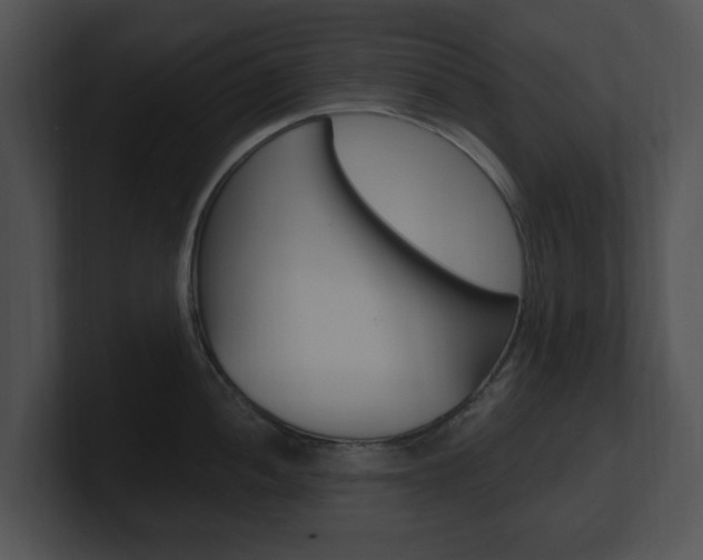 X0000100961052200806241139