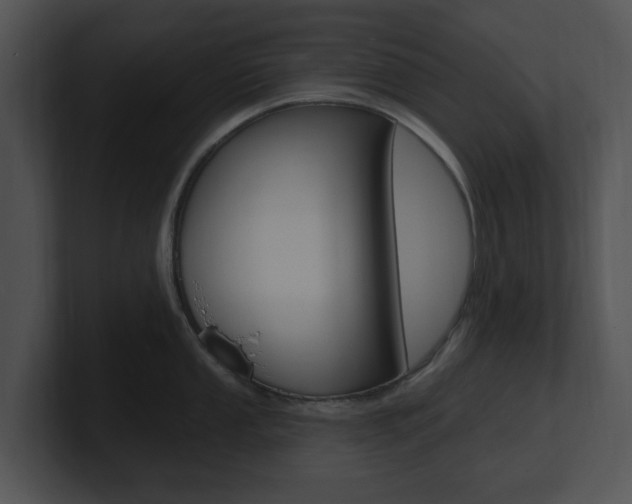 X0000100961053200806241139
