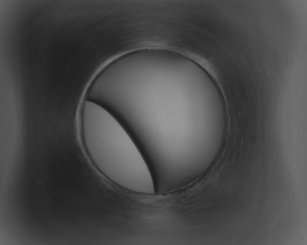 X0000100961056200806241139