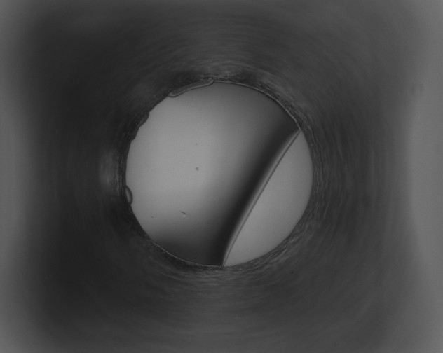 X0000100961058200806241139