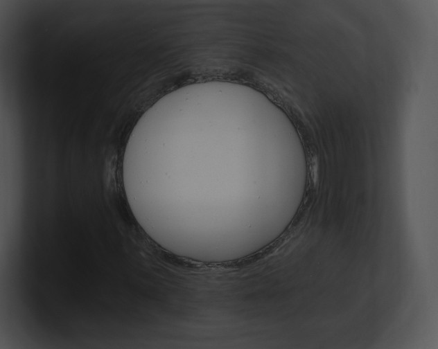 X0000100961059200806241139
