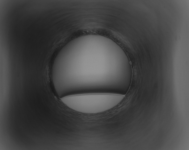 X0000100961060200806241139