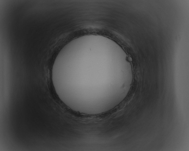 X0000100961061200806241139