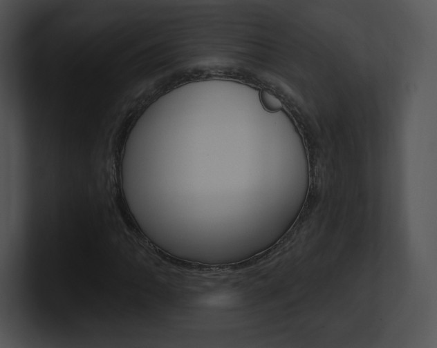 X0000100961062200806241139