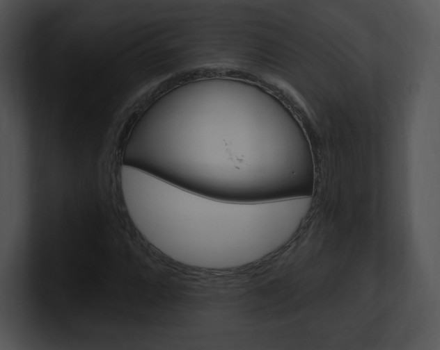 X0000100961064200806241138
