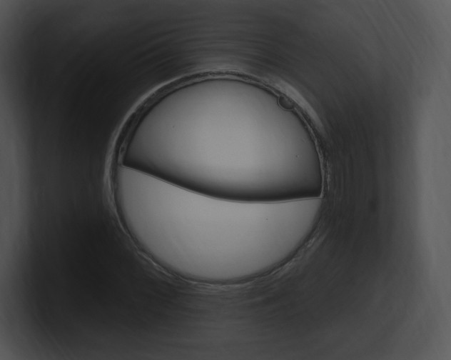 X0000100961068200806241138
