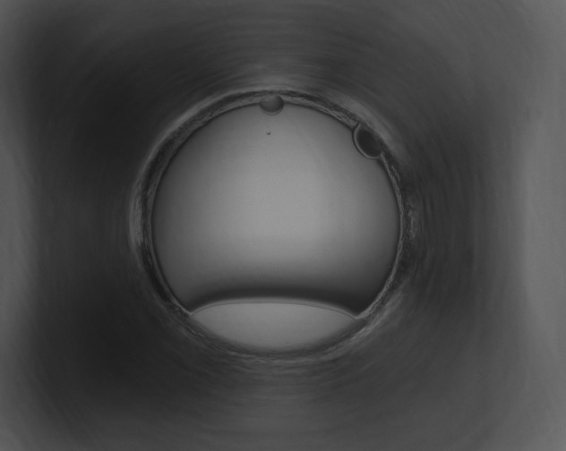 X0000100961069200806241138