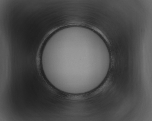 X0000100961074200806241138