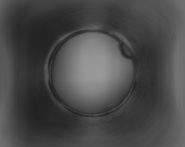 X0000100961080200806241138