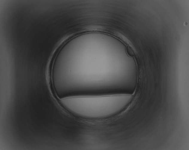X0000100961082200806241138