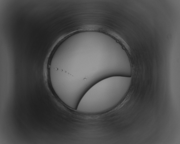 X0000100961083200806241138