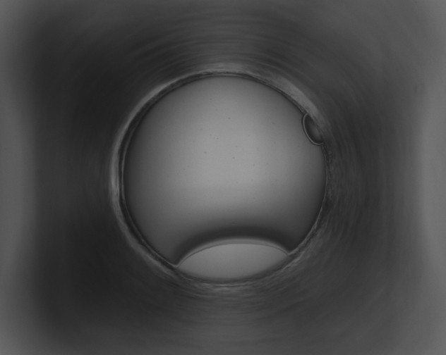 X0000100961084200806241138