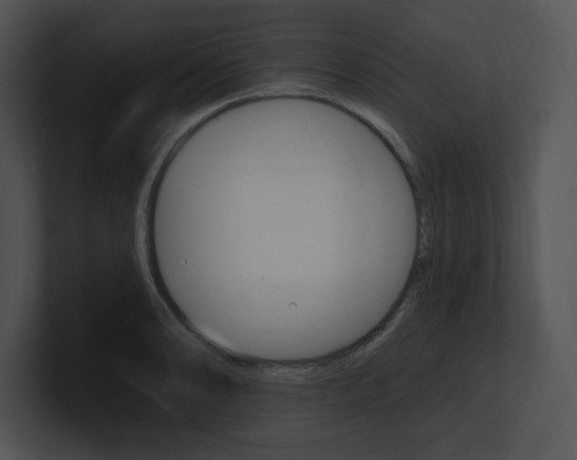 X0000100961086200806241138