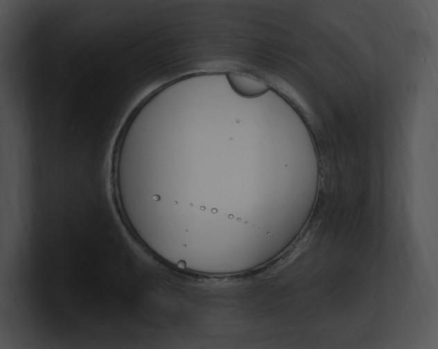 X0000100961087200806241138