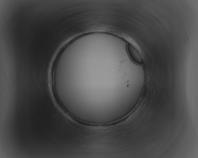 X0000100961088200806241138