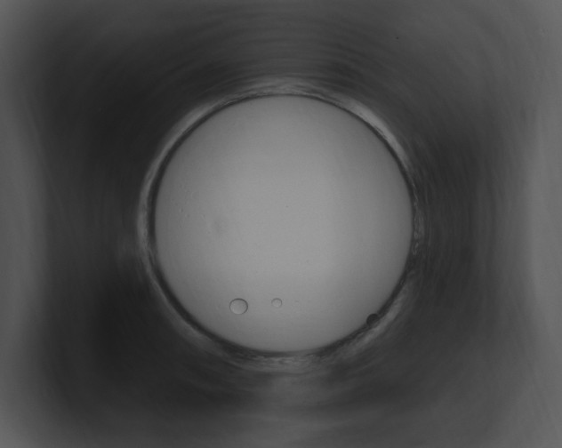 X0000100961090200806241138
