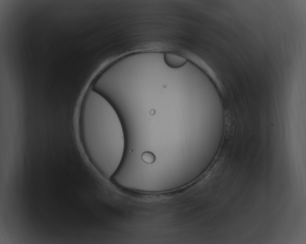 X0000100961091200806241138