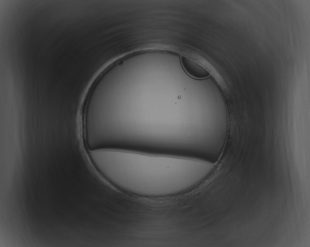X0000100961092200806241138