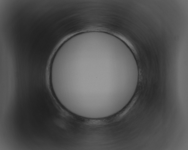 X0000100961094200806241138